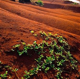 传《使命召唤18》首发24张地图 11月5日发售